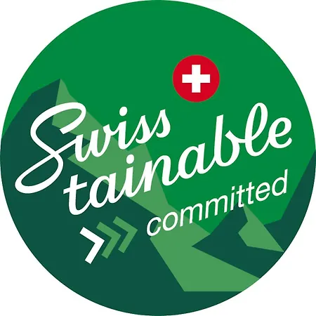 Chaleureux Avec Terrasse Daire Crans-Montana